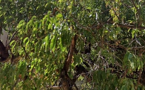 (For Sale) Land Plot || Athens Center/Athens - 250 Sq.m, 2.500.000€ 