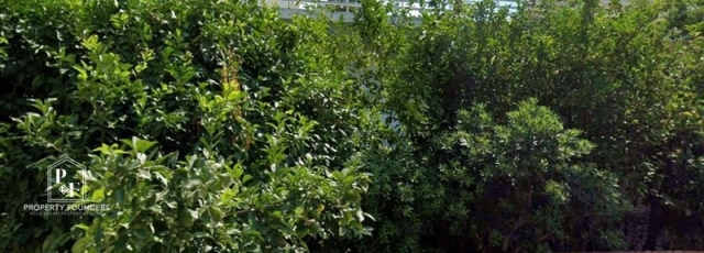 (For Sale) Land Plot || Athens South/Alimos - 424 Sq.m, 1.400.000€ 
