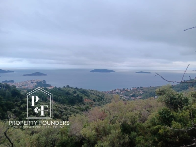 (Προς Πώληση) Αξιοποιήσιμη Γη Αγροτεμάχιο || Ν. Μαγνησίας/Σποράδες-Σκιάθος - 4.360 τ.μ, 130.000€ 