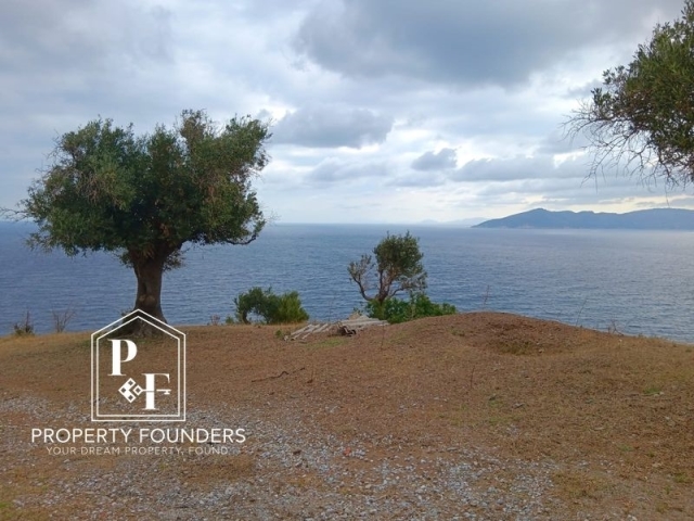 (For Sale) Land Plot || Magnisia/Sporades-Skiathos - 4.000 Sq.m, 320.000€ 
