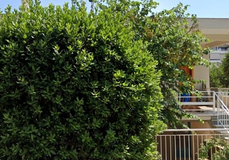 (For Sale) Land Plot || Athens South/Glyfada - 600 Sq.m, 3.700.000€ 