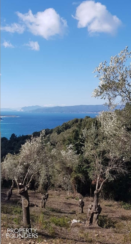 (For Sale) Land Agricultural Land  || Magnisia/Sporades-Skiathos - 10.500 Sq.m, 400.000€ 